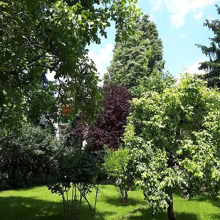 Hostel Garden